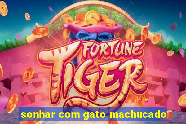 sonhar com gato machucado